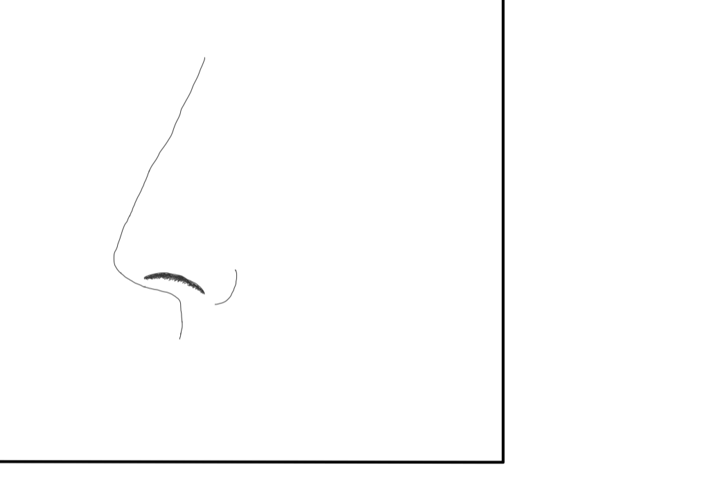 Nose